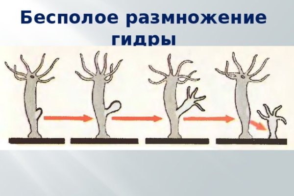 Dark net официальный сайт