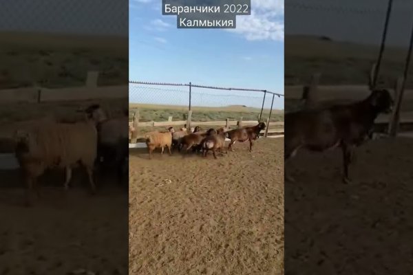 Kraken ссылка зеркало рабочее