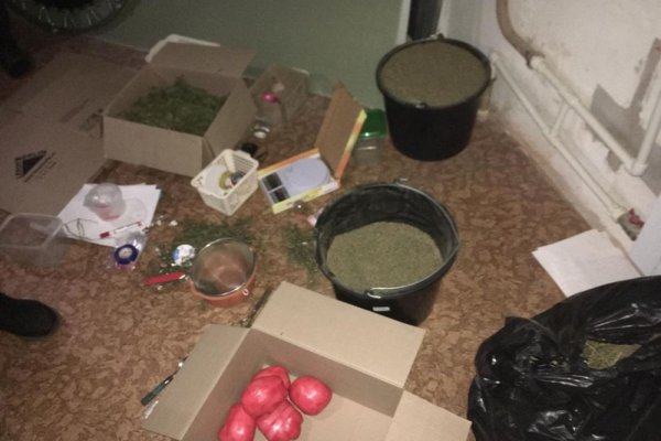 Кракен продает наркотики